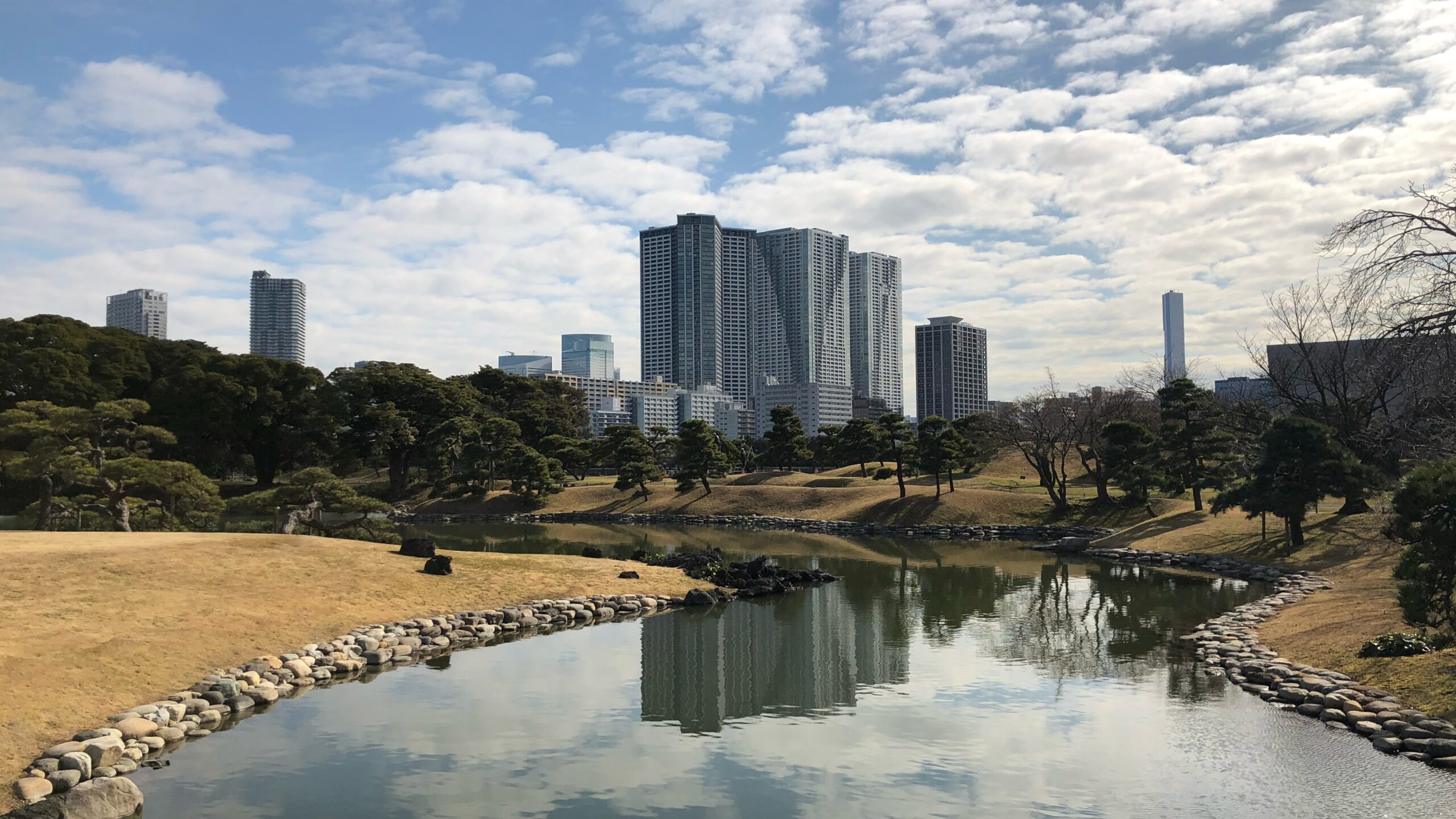 金融・不動産のトータルアドバイザー